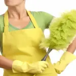 Collaboratori domestici: cosa c’è da sapere?